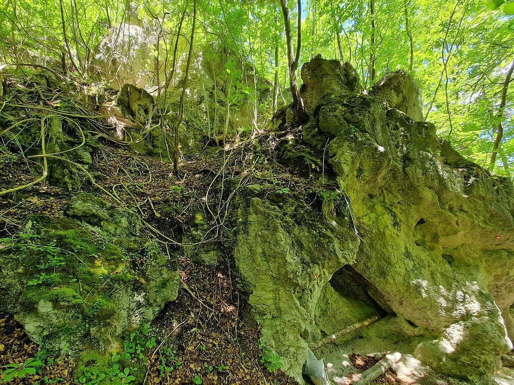 Slika je vidna v Google Chromu.