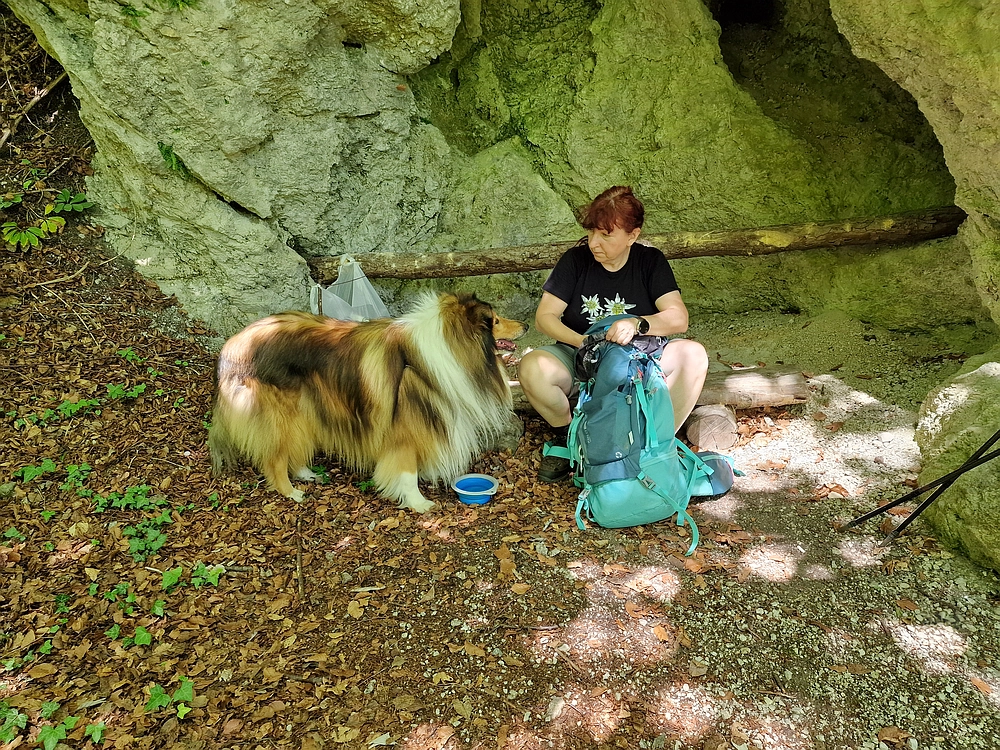 Slika je vidna v Google Chromu.