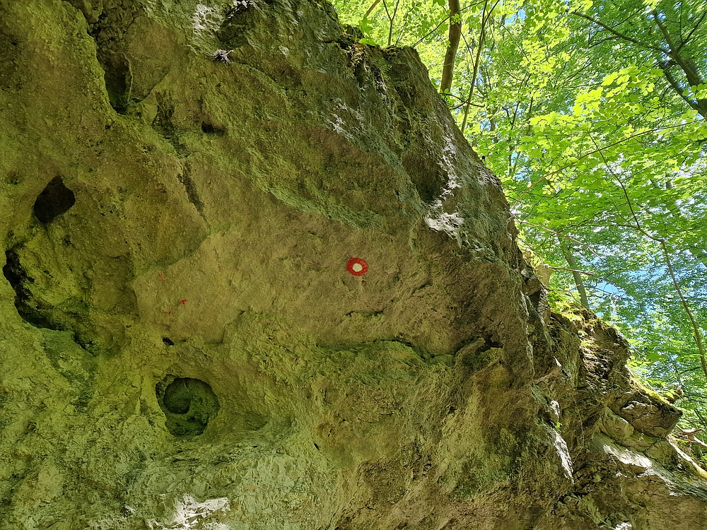 Slika je vidna v Google Chromu.