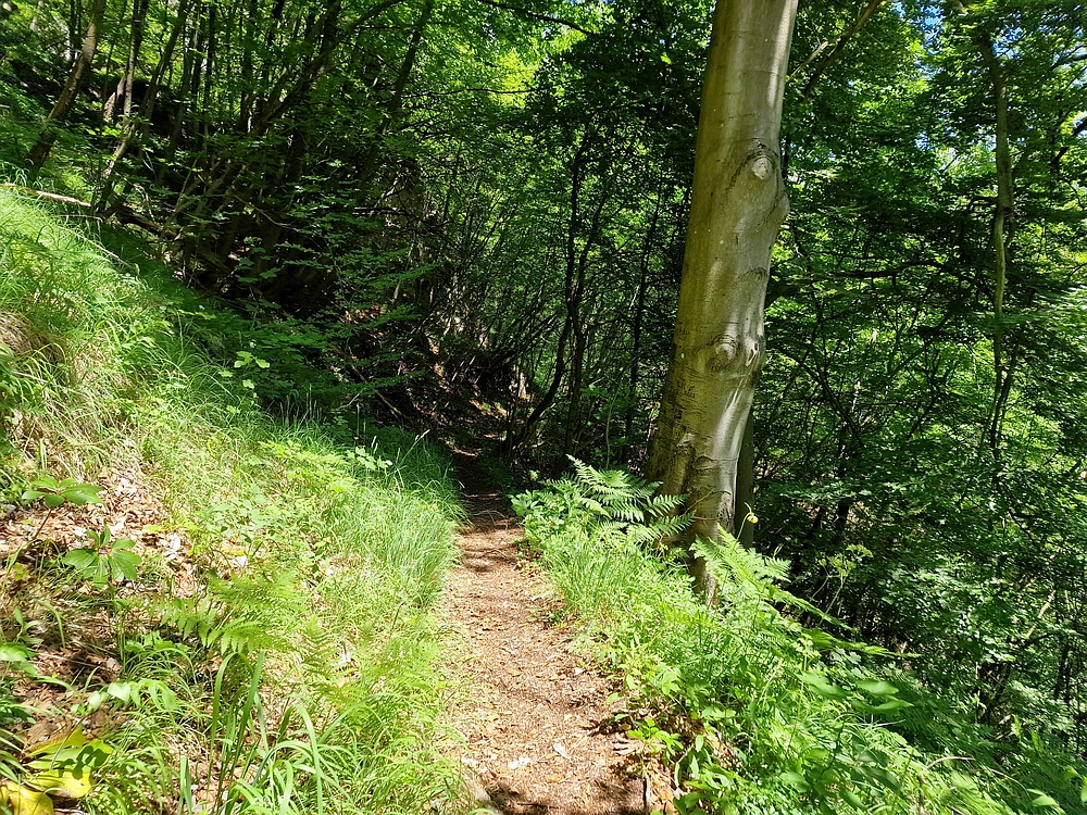 Slika je vidna v Google Chromu.