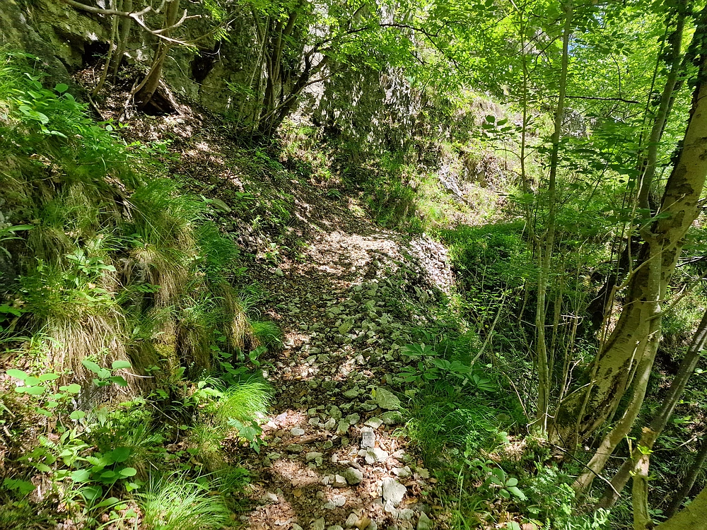 Slika je vidna v Google Chromu.