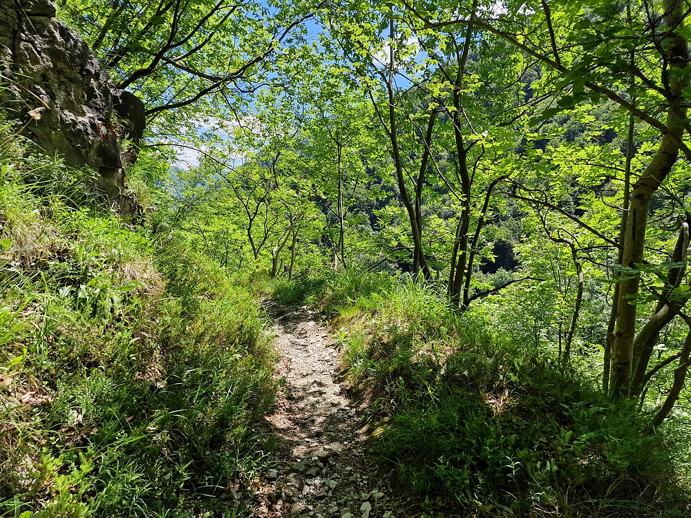 Slika je vidna v Google Chromu.