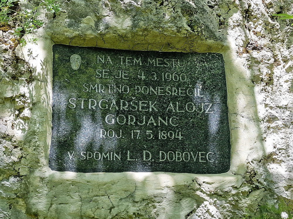 Slika je vidna v Google Chromu.