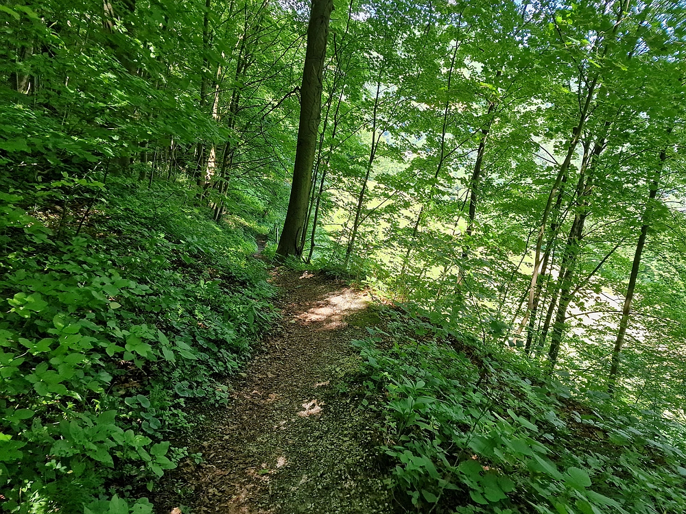 Slika je vidna v Google Chromu.