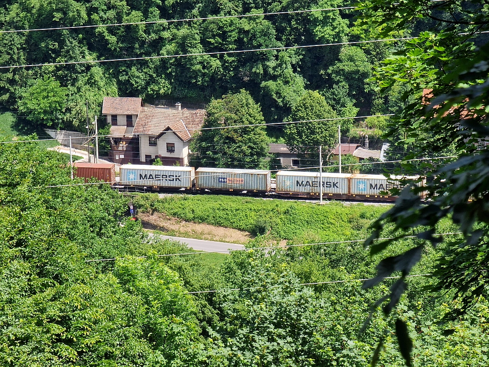 Slika je vidna v Google Chromu.