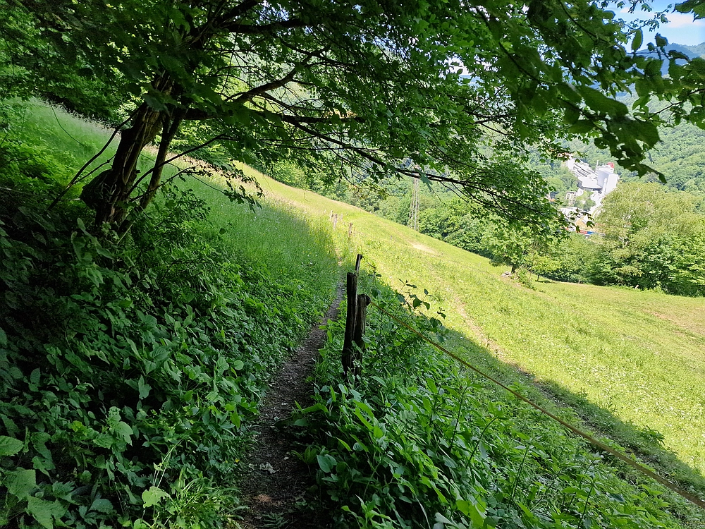 Slika je vidna v Google Chromu.