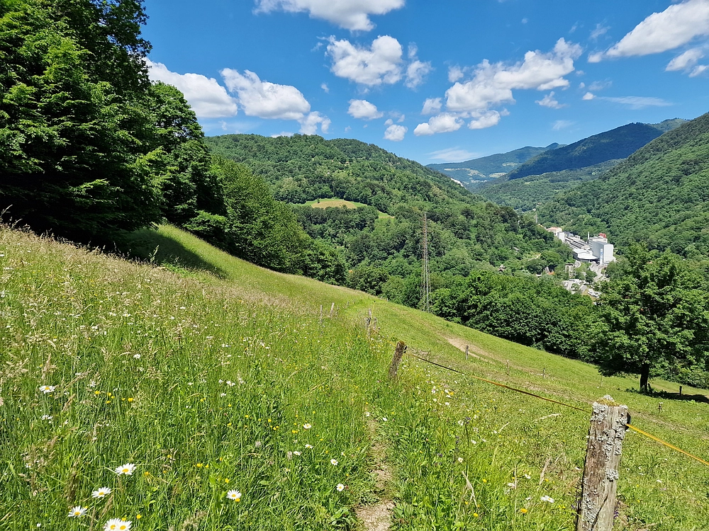 Slika je vidna v Google Chromu.