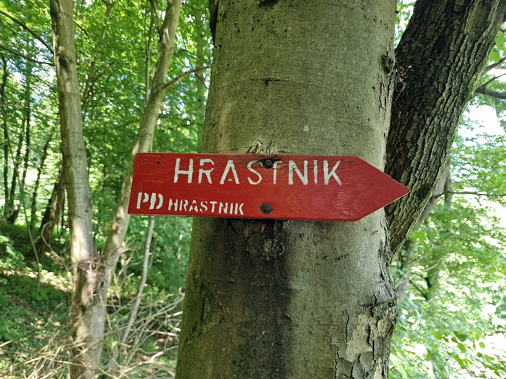 Slika je vidna v Google Chromu.