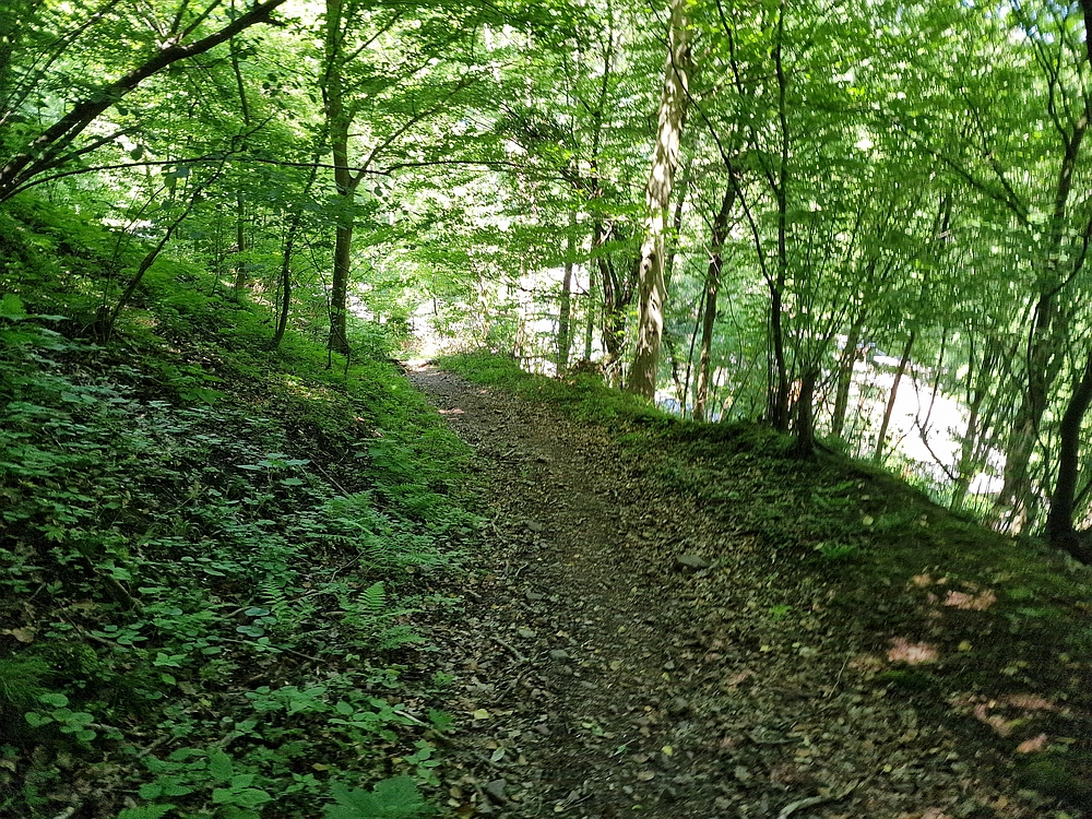 Slika je vidna v Google Chromu.