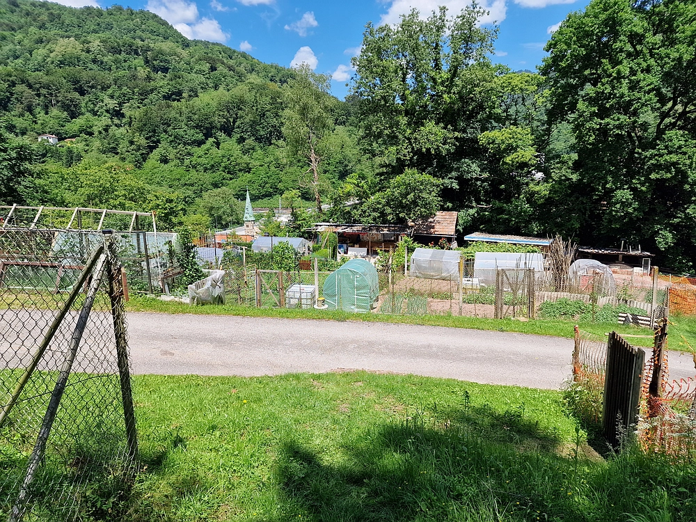 Slika je vidna v Google Chromu.