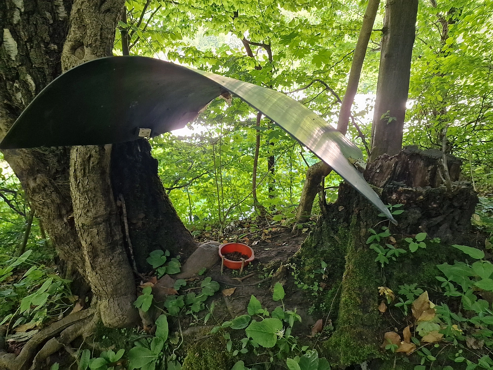 Slika je vidna v Google Chromu.