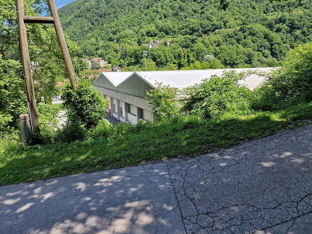 Slika je vidna v Google Chromu.