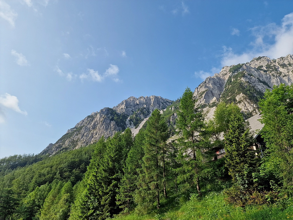 Slika je vidna v Google Chromu.