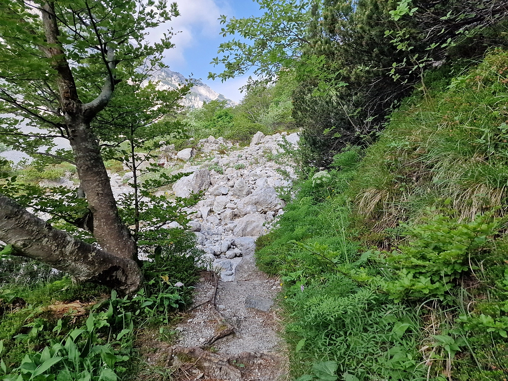 Slika je vidna v Google Chromu.