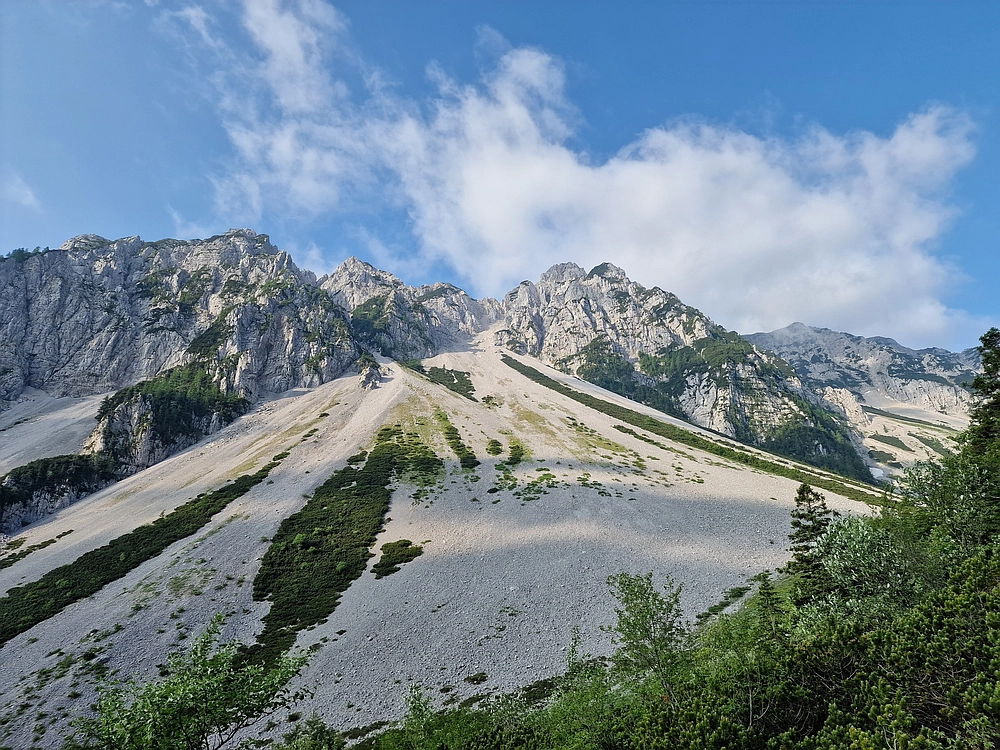 Slika je vidna v Google Chromu.