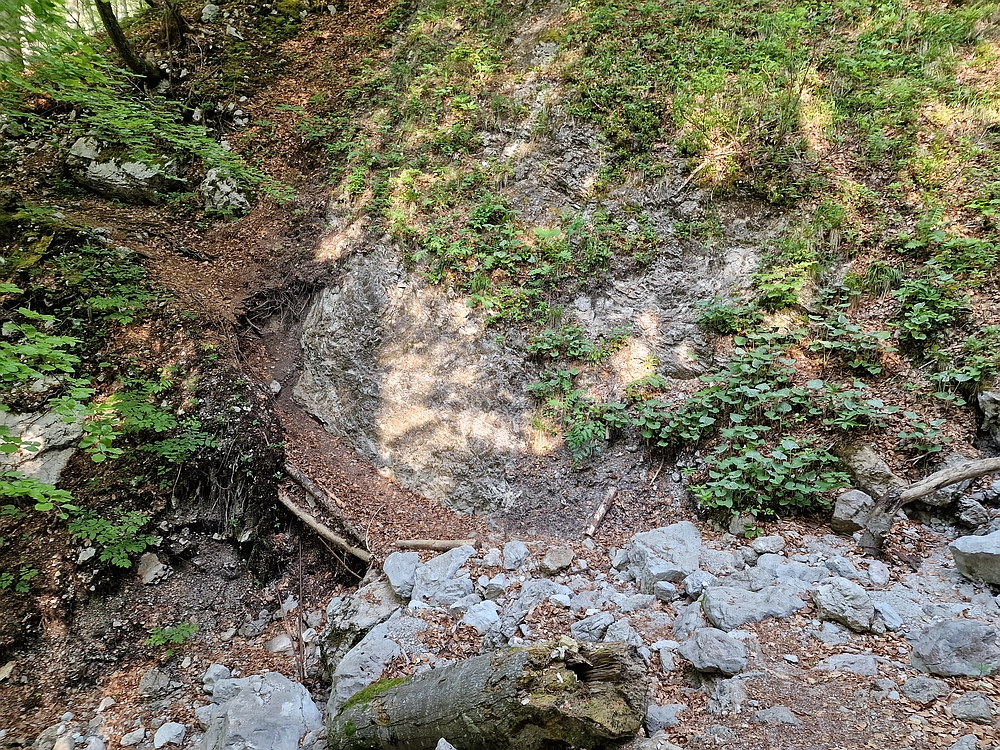 Slika je vidna v Google Chromu.