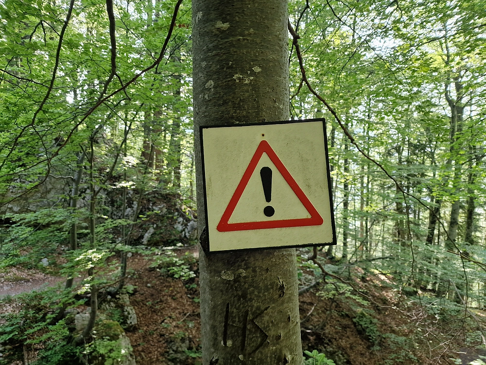 Slika je vidna v Google Chromu.