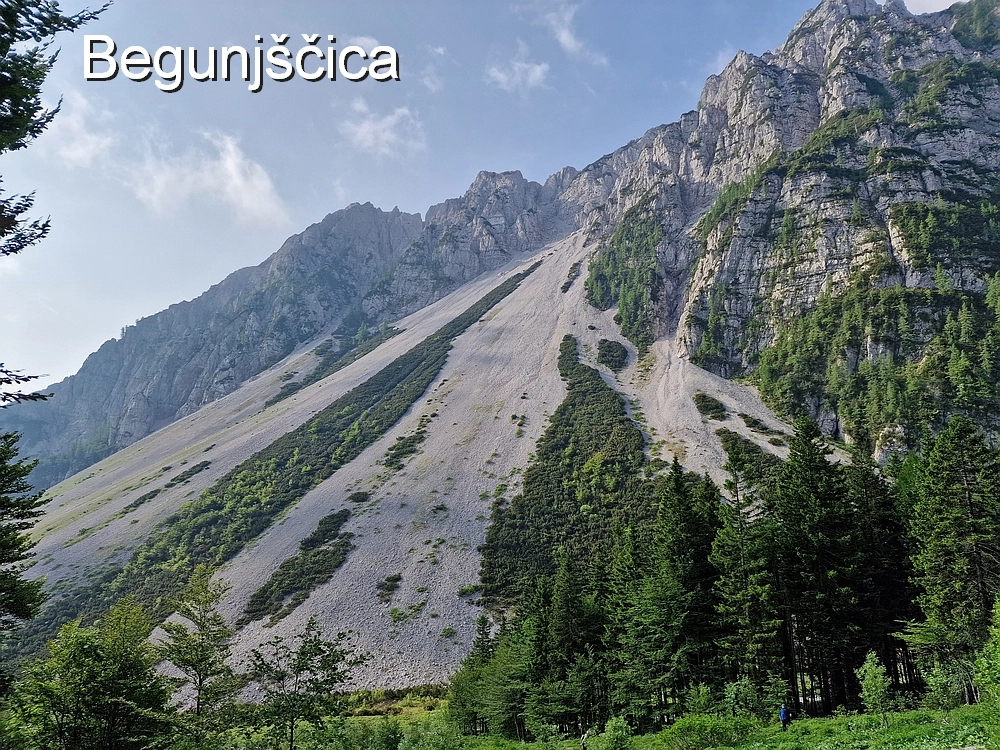 Slika je vidna v Google Chromu.