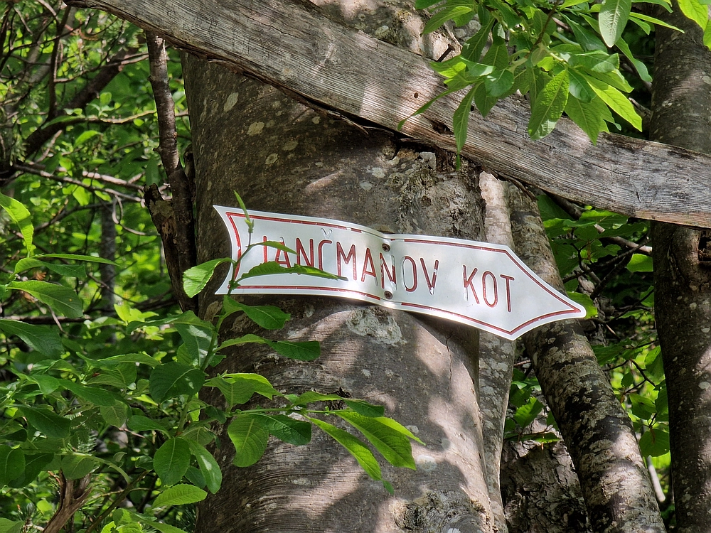 Slika je vidna v Google Chromu.