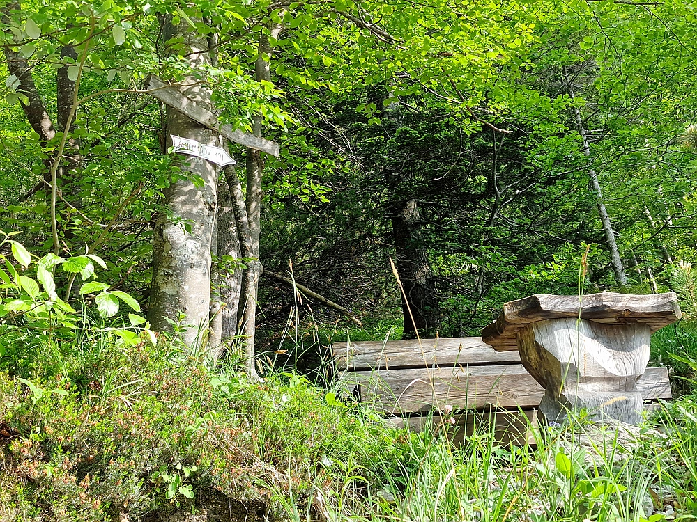 Slika je vidna v Google Chromu.