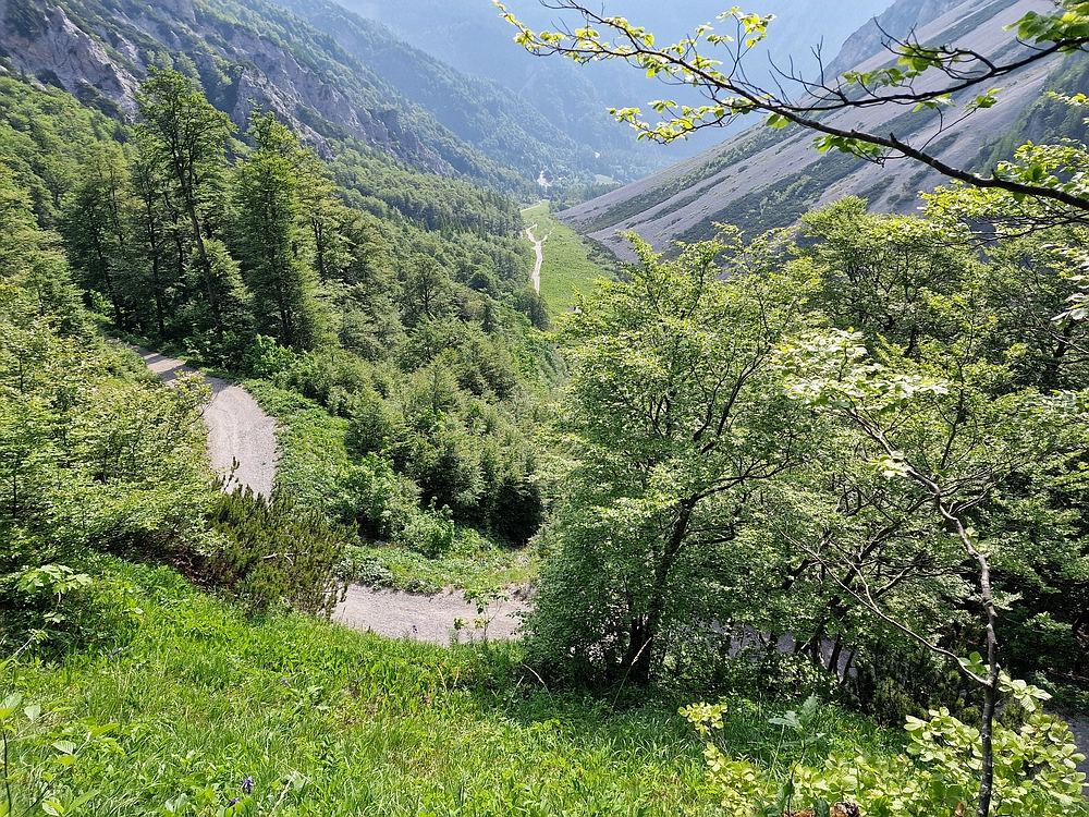 Slika je vidna v Google Chromu.