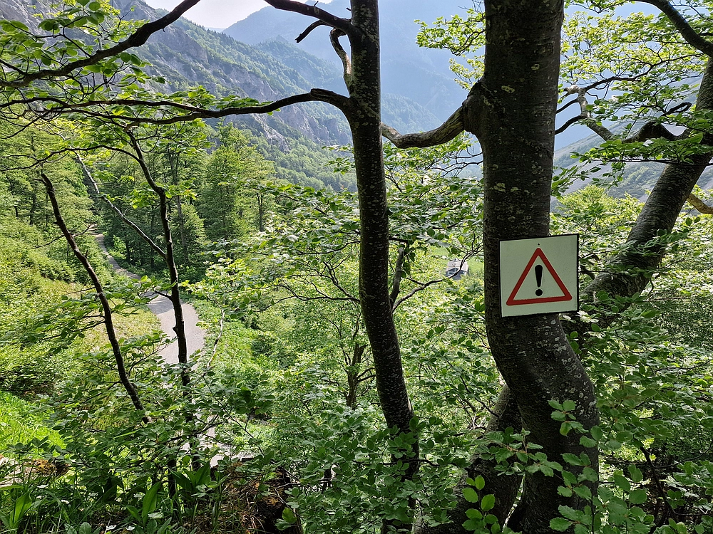 Slika je vidna v Google Chromu.