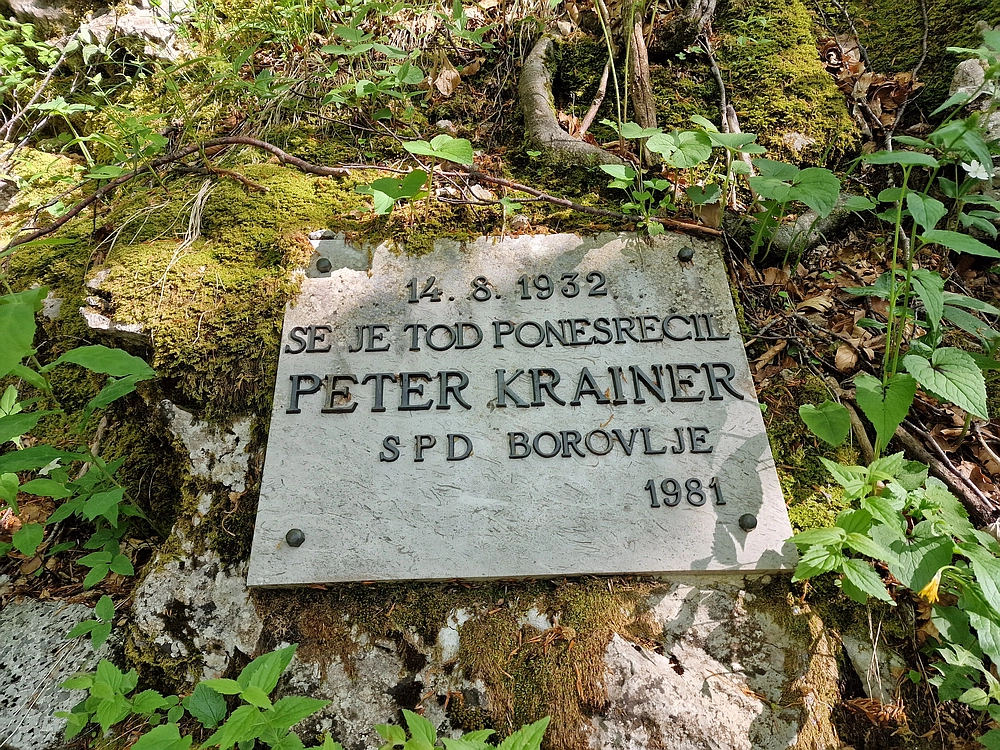 Slika je vidna v Google Chromu.