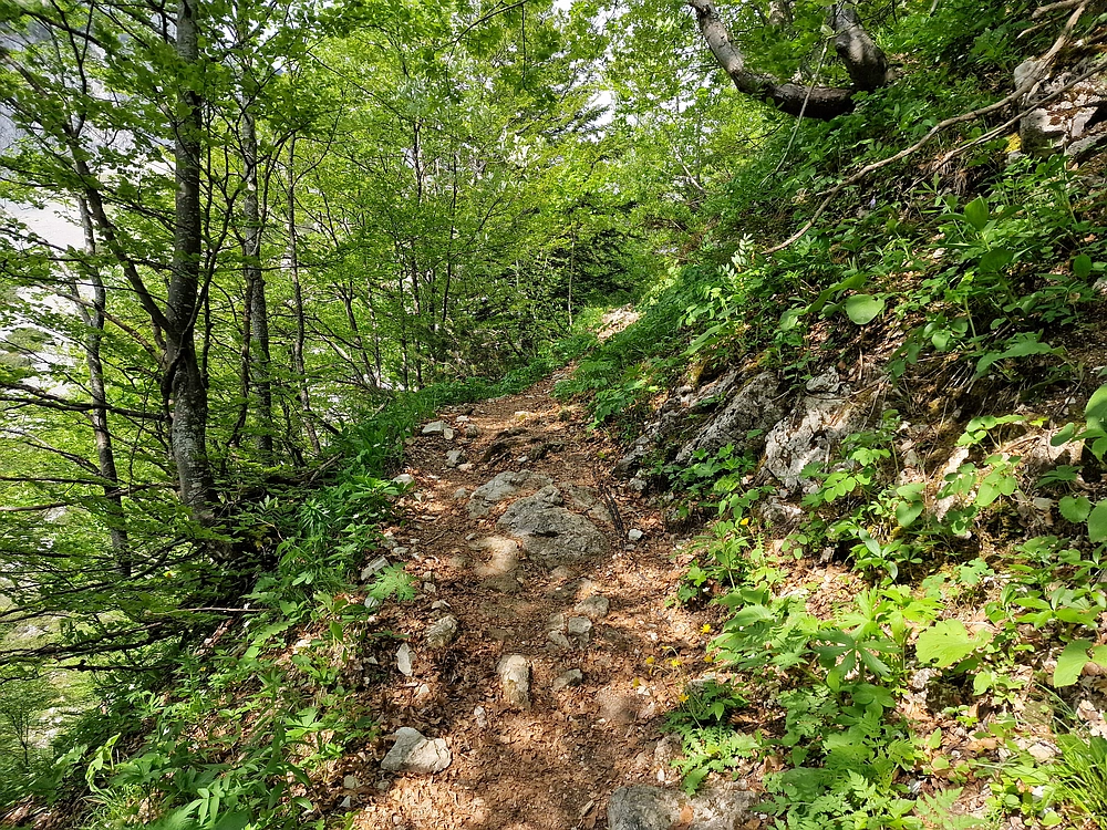 Slika je vidna v Google Chromu.