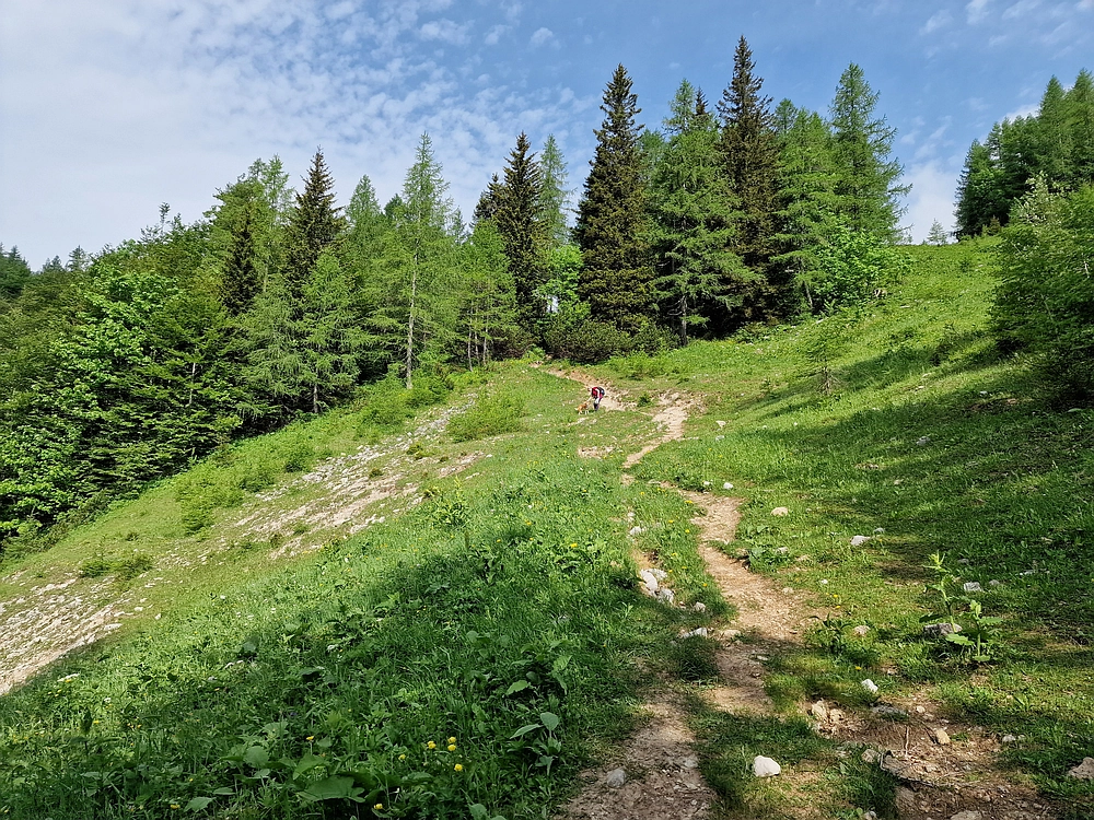 Slika je vidna v Google Chromu.