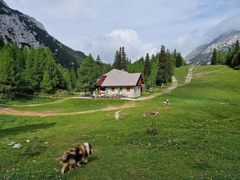 Slika je vidna v Google Chromu.