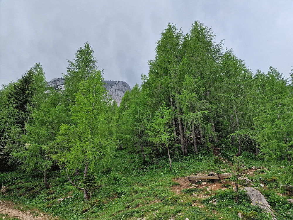 Slika je vidna v Google Chromu.