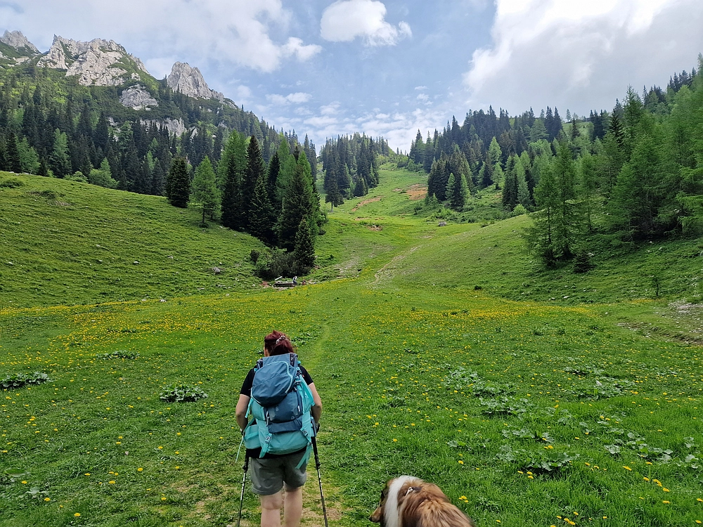 Slika je vidna v Google Chromu.