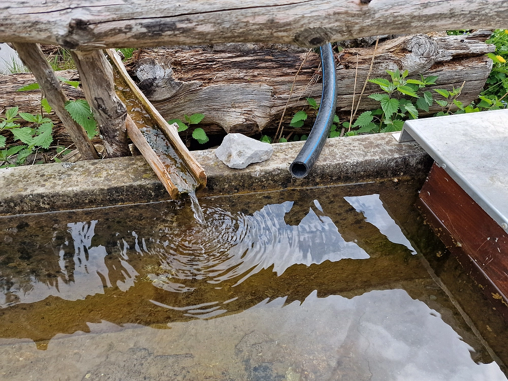 Slika je vidna v Google Chromu.