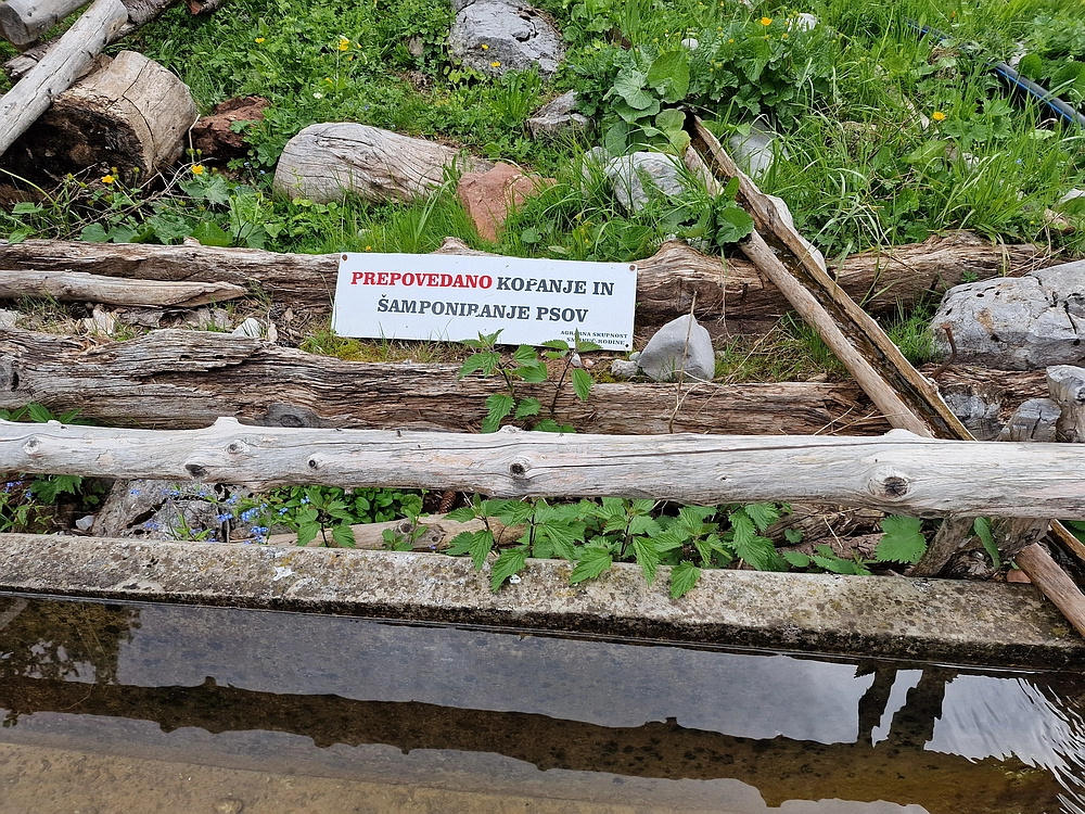 Slika je vidna v Google Chromu.