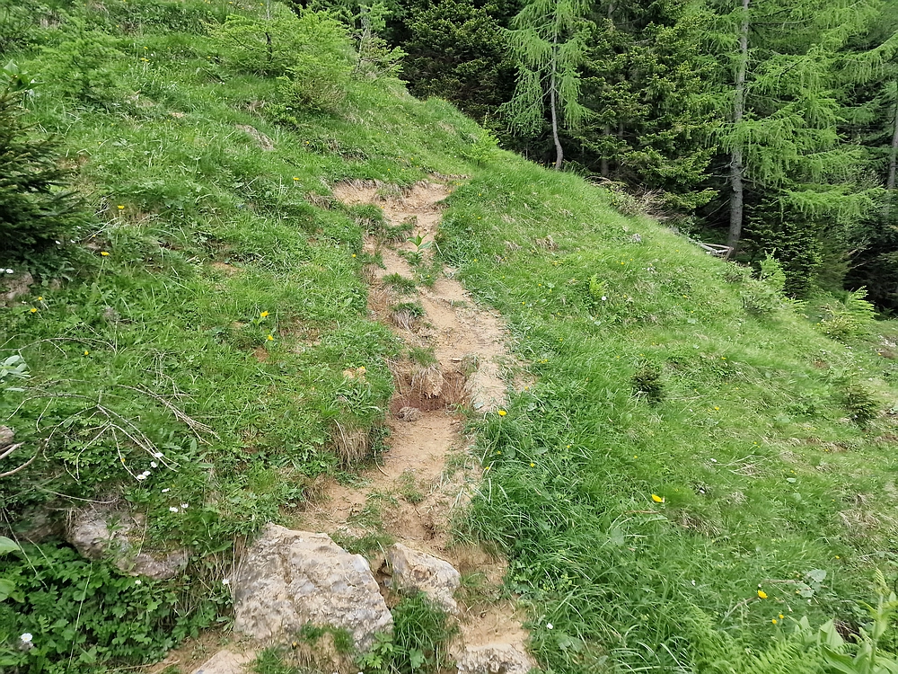 Slika je vidna v Google Chromu.