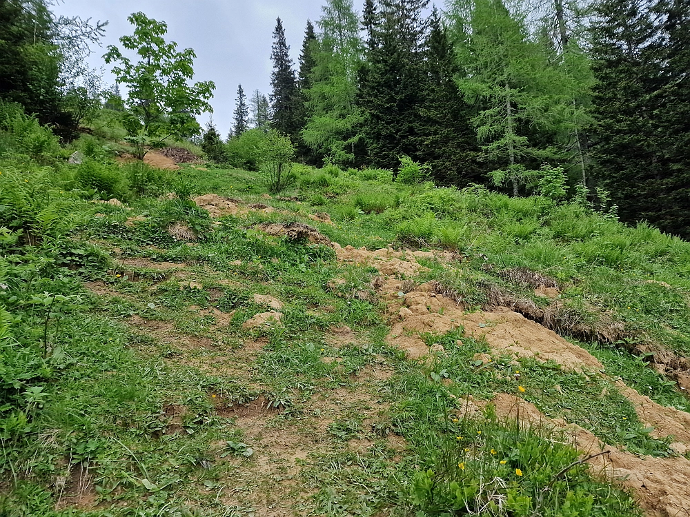 Slika je vidna v Google Chromu.