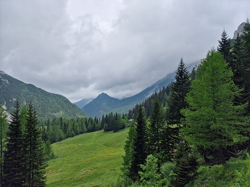 Slika je vidna v Google Chromu.