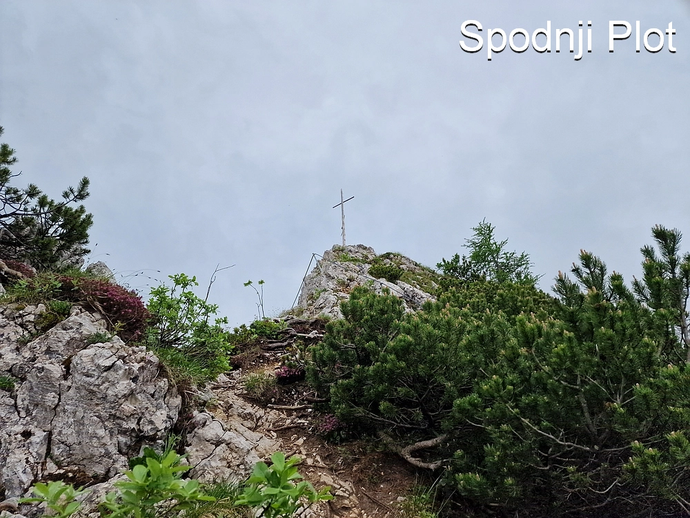 Slika je vidna v Google Chromu.