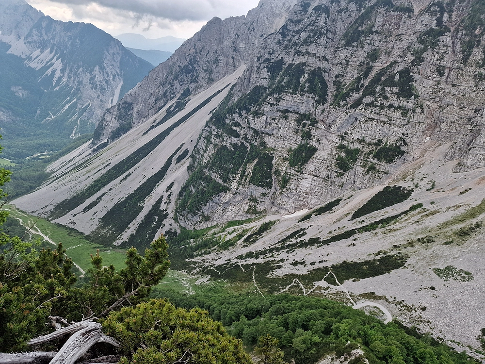 Slika je vidna v Google Chromu.