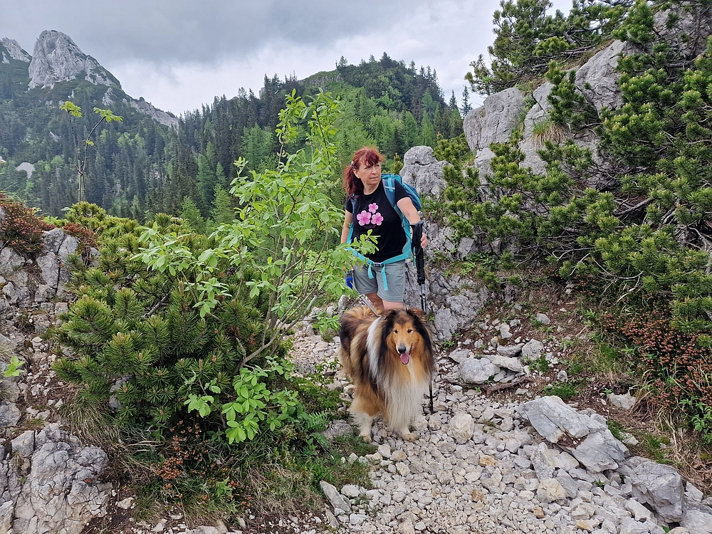 Slika je vidna v Google Chromu.