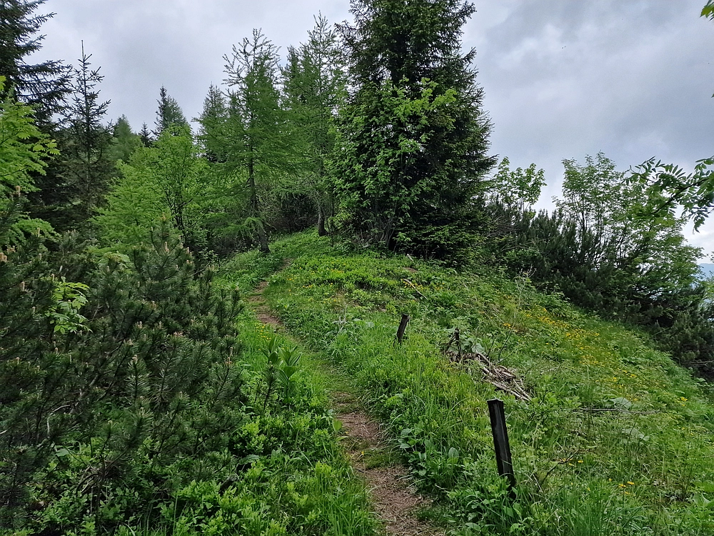 Slika je vidna v Google Chromu.