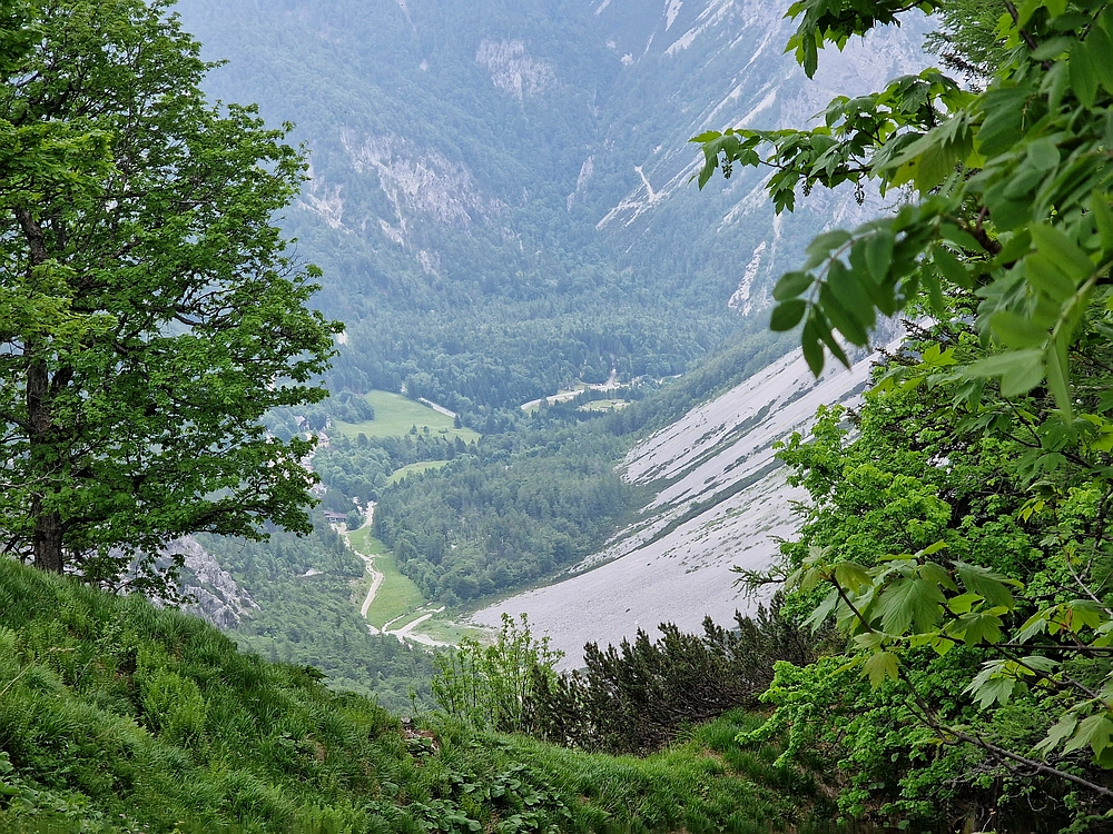 Slika je vidna v Google Chromu.