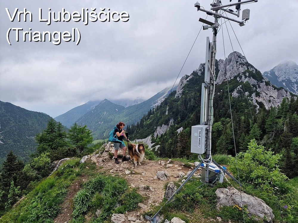 Slika je vidna v Google Chromu.