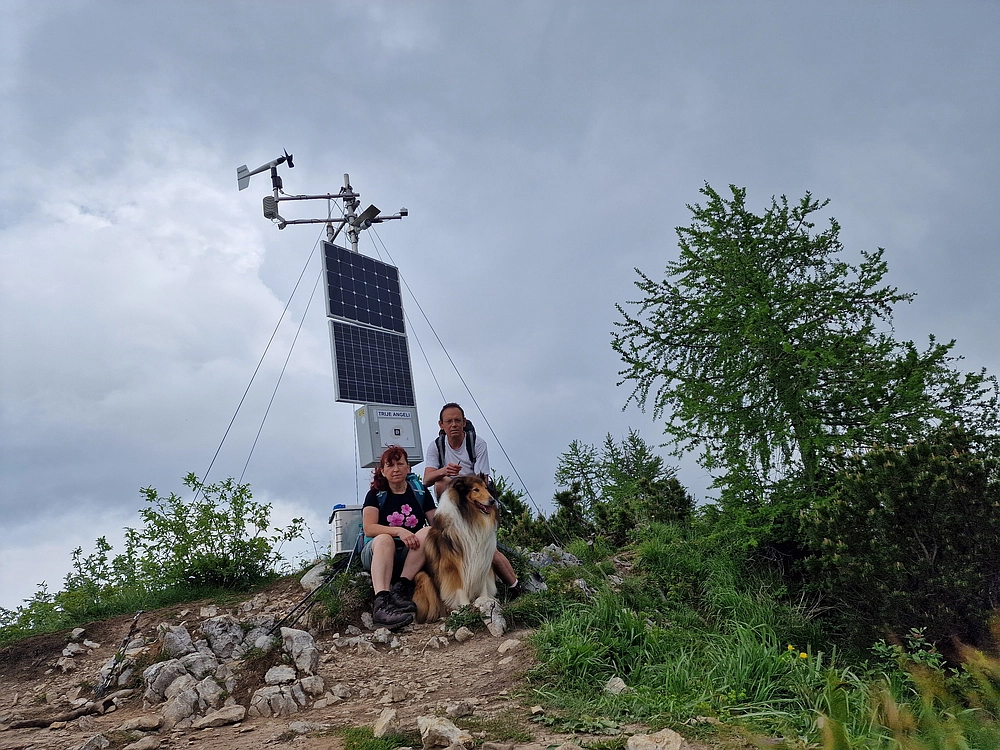 Slika je vidna v Google Chromu.