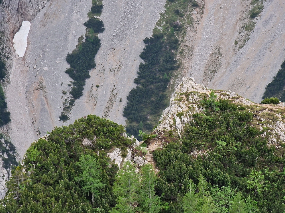 Slika je vidna v Google Chromu.