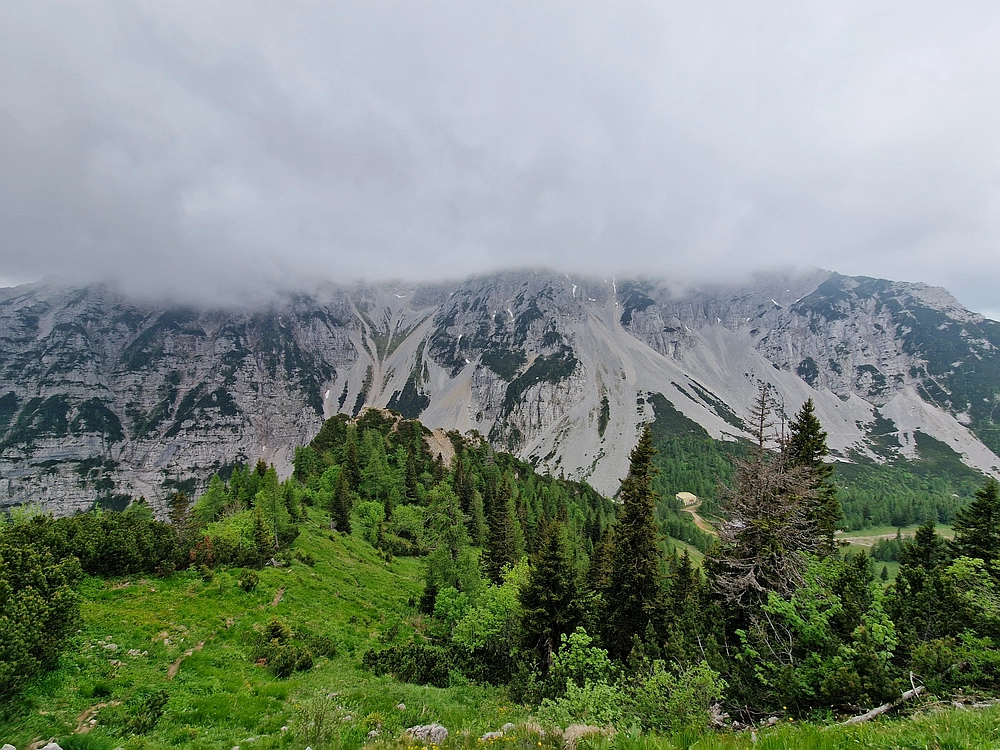 Slika je vidna v Google Chromu.