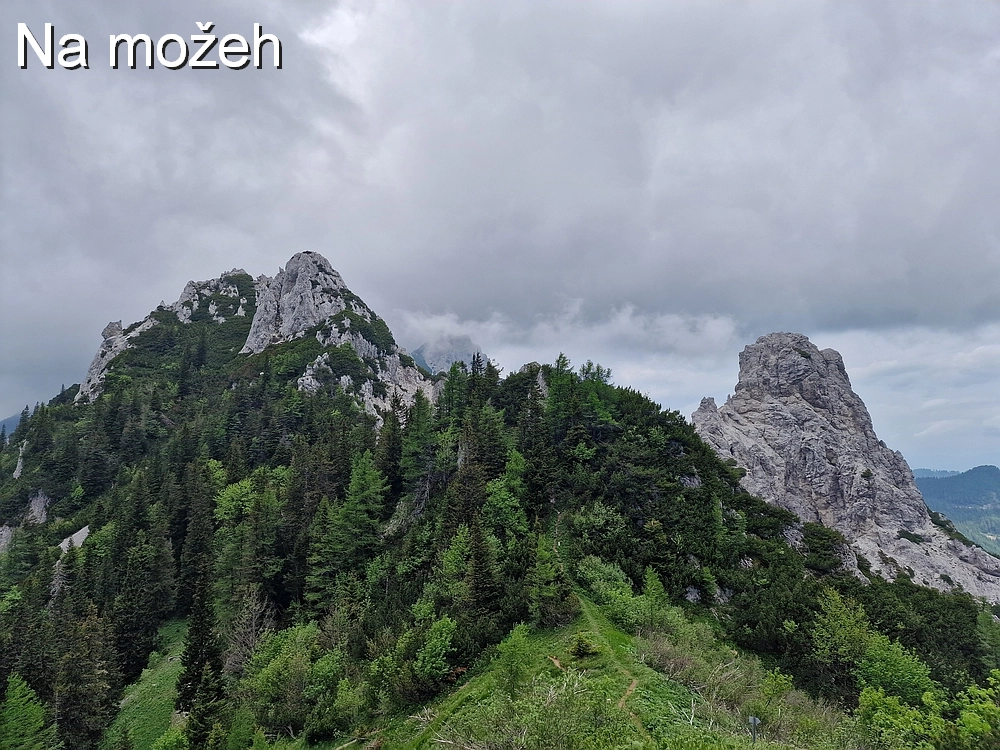 Slika je vidna v Google Chromu.