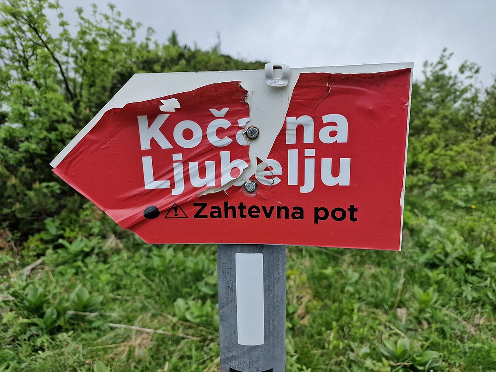 Slika je vidna v Google Chromu.