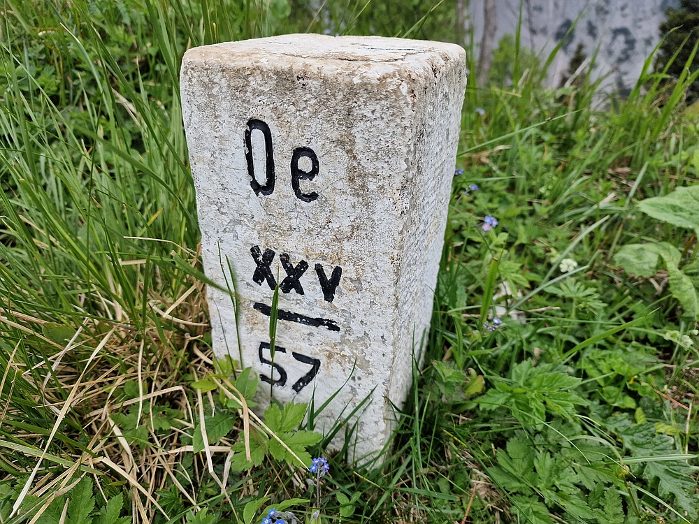 Slika je vidna v Google Chromu.