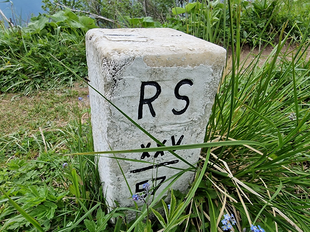 Slika je vidna v Google Chromu.